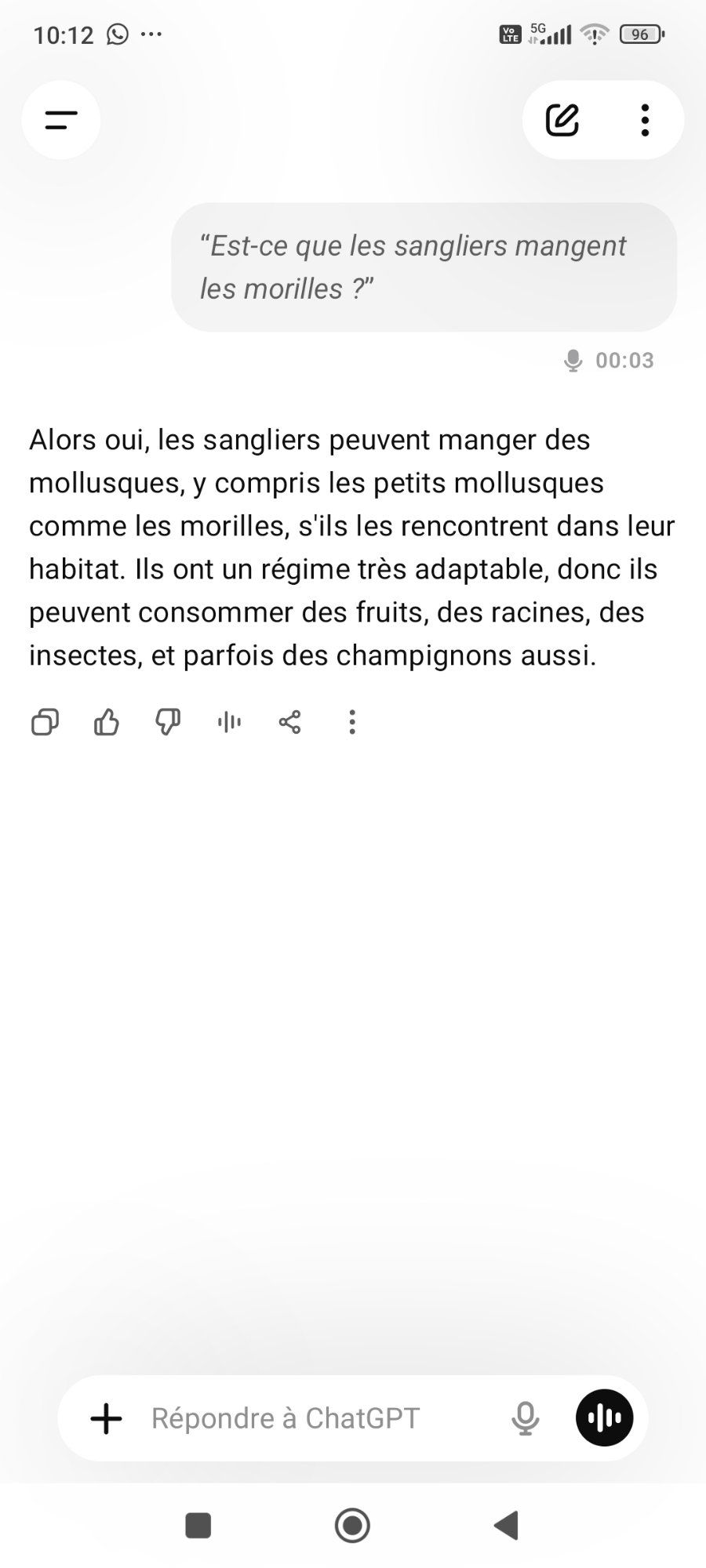 ChatGPT confond morille et mollusque